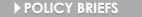 policyBriefs